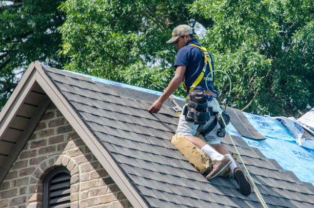 Professional Roofing Contractor in Scenic Oaks, TX